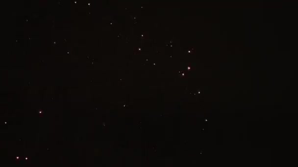 晚上东京台场黑暗天空后面的烟花 — 图库视频影像