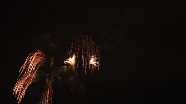 Πυροτεχνήματα πίσω από το σκοτεινό ουρανό στο Odaiba Tokyo για το βράδυ — Αρχείο Βίντεο