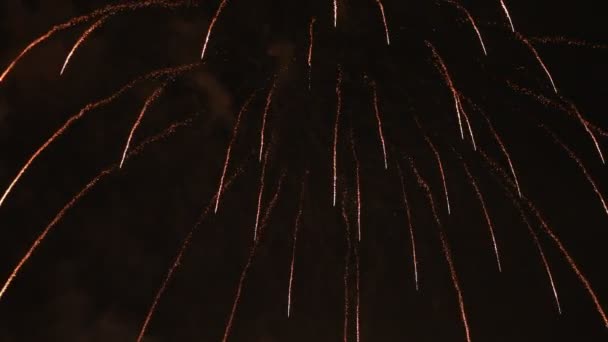 Fireworks arkasında Odaiba Tokyo karanlık gökyüzü, gece — Stok video