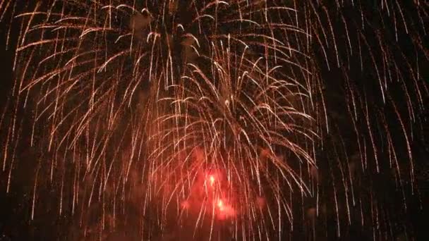 Fireworks behind the dark sky in Odaiba Tokyo at night — Stock Video