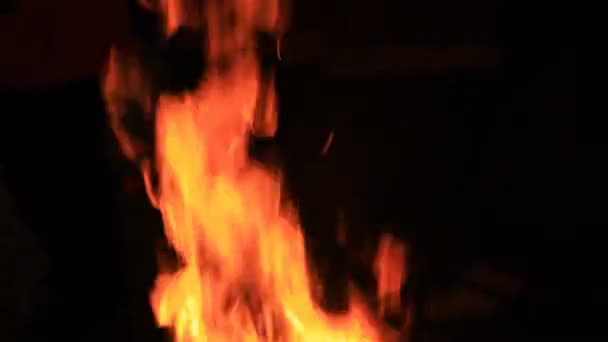 Fuego por la noche — Vídeos de Stock