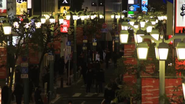 Νυχτερινή τοποθεσία στην πόλη νέον στο Σιντζούκου Τόκιο — Αρχείο Βίντεο