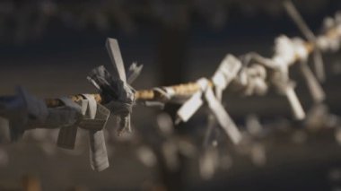 Tokyo 'daki ıgusa tapınağında Oracles