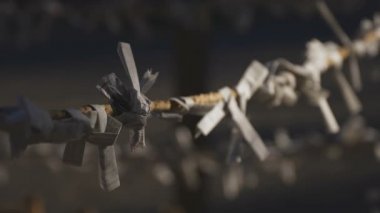 Tokyo 'daki ıgusa tapınağında Oracles