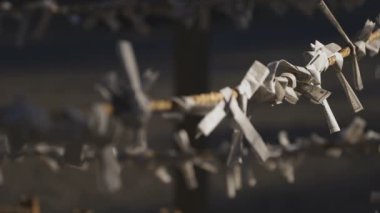 Tokyo 'daki ıgusa tapınağında Oracles