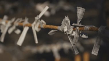 Tokyo 'daki ıgusa tapınağında Oracles