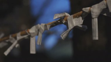 Tokyo 'daki ıgusa tapınağında Oracles