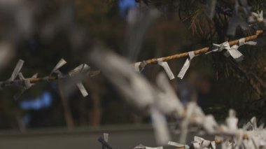 Tokyo 'daki ıgusa tapınağında Oracles