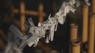 Tokyo 'daki ıgusa tapınağında Oracles