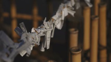 Tokyo 'daki ıgusa tapınağında Oracles