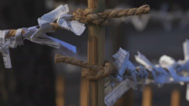 Tokyo 'daki ıgusa tapınağında Oracles