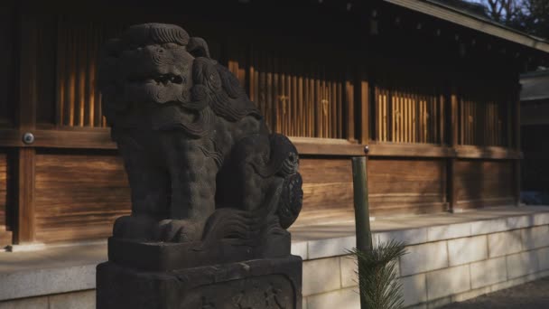 Estatua guardián perro KOMAINU en el santuario de Igusa en Tokio — Vídeos de Stock