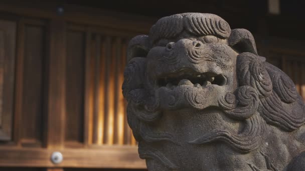 东京伊古萨神社的雕像守护犬科梅努 — 图库视频影像
