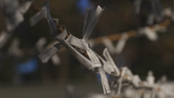 Οι χειροπέδες στο ιερό Ιγκουά στο Τόκιο — Αρχείο Βίντεο