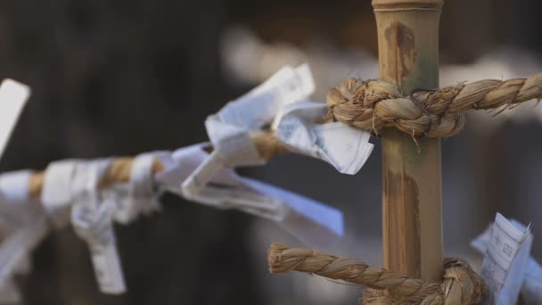 Oracles på Igusa Shrine i Tokyo — Stockvideo