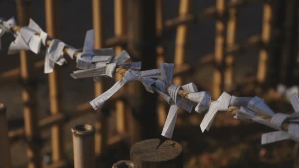 Oracles at Igusa shrine in Tokyo — Stock Video