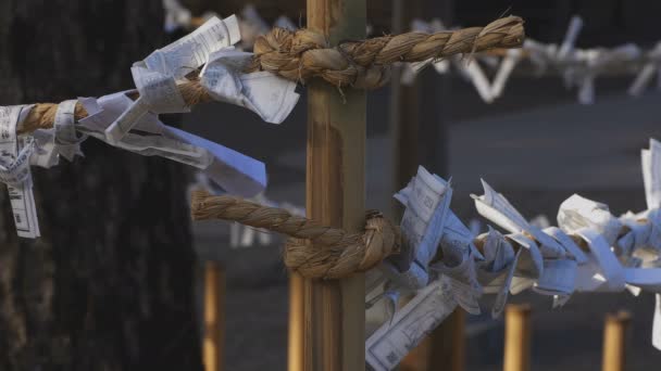 Oracles at Igusa shrine in Tokyo — Stock Video