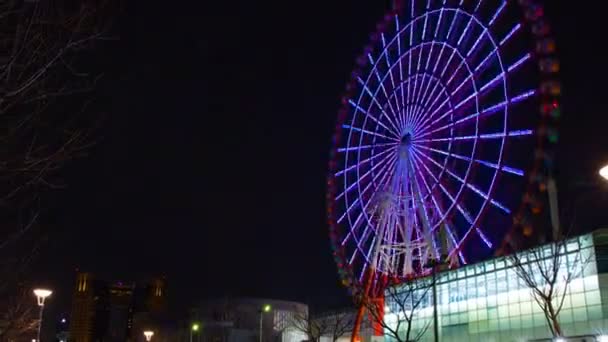 Ferris wheel at night in Odaiba Tokyo time lapse — Stock Video