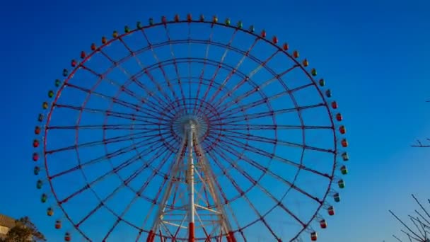 Roda gigante atrás do céu azul em Odaiba Tóquio lapso de tempo tiro largo — Vídeo de Stock