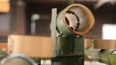 Tokyo'daki Oomiya hachiman tapınağında arınma yalak
