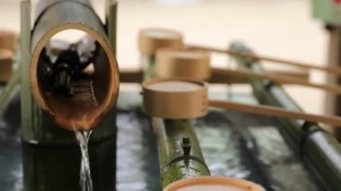 Tokyo'daki Oomiya hachiman tapınağında arınma yalak