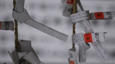 Tokyo'daki Oomiya hachiman tapınağında kahinler