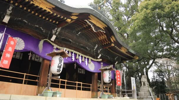 Tempel på Oomiya Hachiman Shrine i Tokyo — Stockvideo