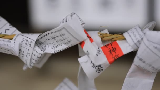 Oráculos en el santuario hachiman de Oomiya en Tokio — Vídeos de Stock