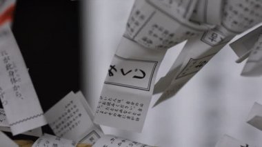 Tokyo'daki Oomiya hachiman tapınağında kahinler