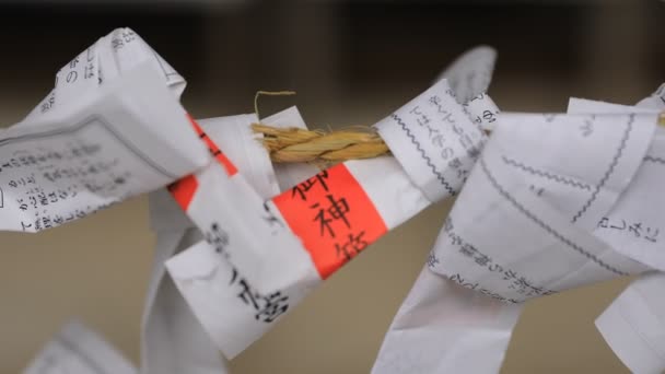 Oracoli a sacrario di Oomiya hachiman in Tokio — Video Stock