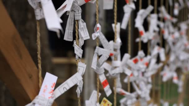 Оркулів на Ономія Хатіман Shrine в Токіо — стокове відео