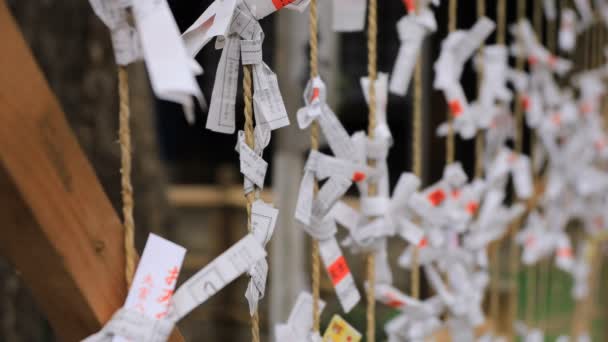 Oráculos en el santuario hachiman de Oomiya en Tokio — Vídeo de stock
