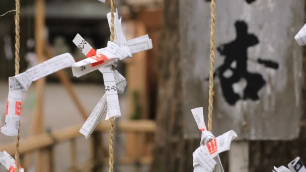 Oráculos en el santuario hachiman de Oomiya en Tokio — Vídeo de stock