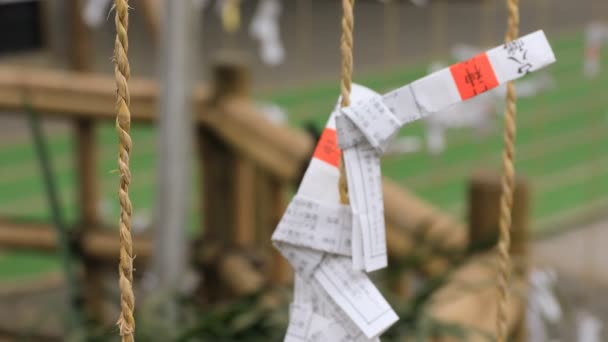 Oracles bij Oomiya Hachiman Shrine in Tokio — Stockvideo