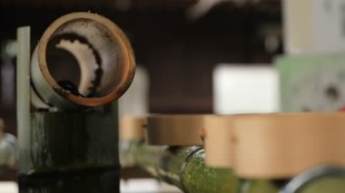 Tokyo'daki Oomiya hachiman tapınağında arınma yalak