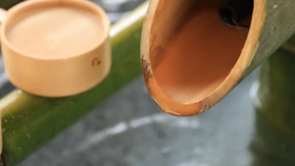 Purification trough at Oomiya hachiman shrine in Tokyo — Stock Video