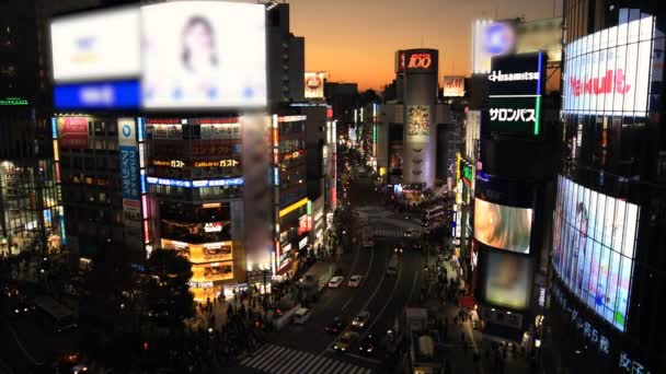Drukke kruising in de neon stad in Shibuya Tokyo bij schemering Wide shot — Stockvideo