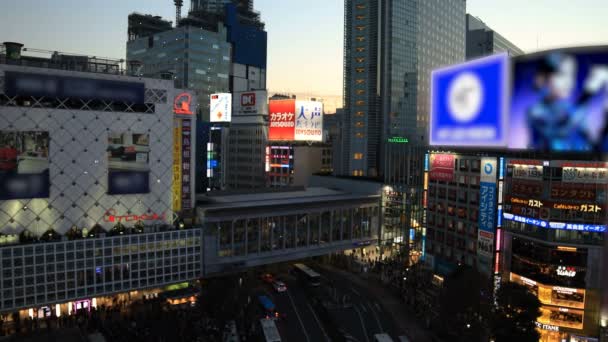 Attraversamento occupato alla città al neon di Shibuya Tokyo al crepuscolo — Video Stock