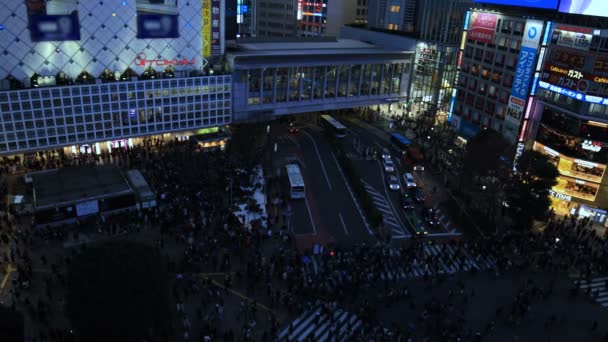 Drukke oversteek bij de neon stad in Shibuya Tokyo 's nachts breed schot — Stockvideo