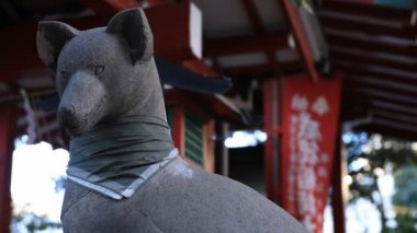 Tokyo'daki Hanazono tapınağında heykel koruyucu tilki