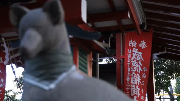 Estatua de zorro guardián en el santuario de Hanazono en Tokio — Vídeos de Stock