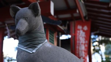 Tokyo'daki Hanazono tapınağında heykel koruyucu tilki