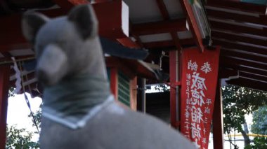 Tokyo'daki Hanazono tapınağında heykel koruyucu tilki