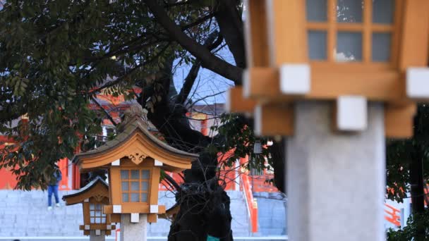 Lantaarn op hanazono Shrine in Tokio overdag — Stockvideo