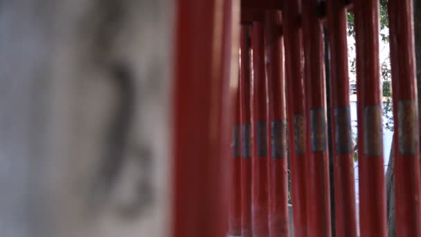 Lantern på Hanazono Shrine i Tokyo dagtid — Stockvideo