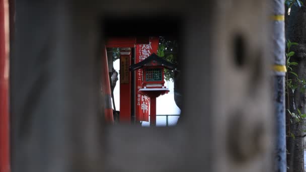 Linterna en el santuario de Hanazono en Tokio durante el día — Vídeos de Stock