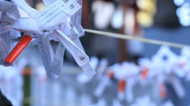 Tokyo gündüz Hanazono tapınağında Oracles