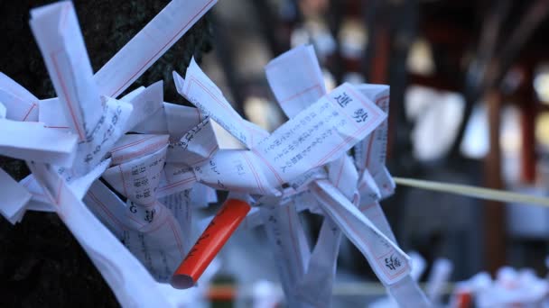 Oracles bij hanazono Shrine in Tokyo overdag — Stockvideo