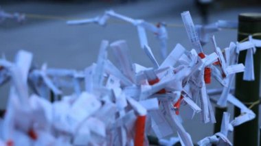 Tokyo gündüz Hanazono tapınağında Oracles