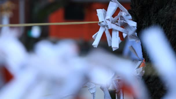 Oracoli al santuario Hanazono di giorno a Tokyo — Video Stock